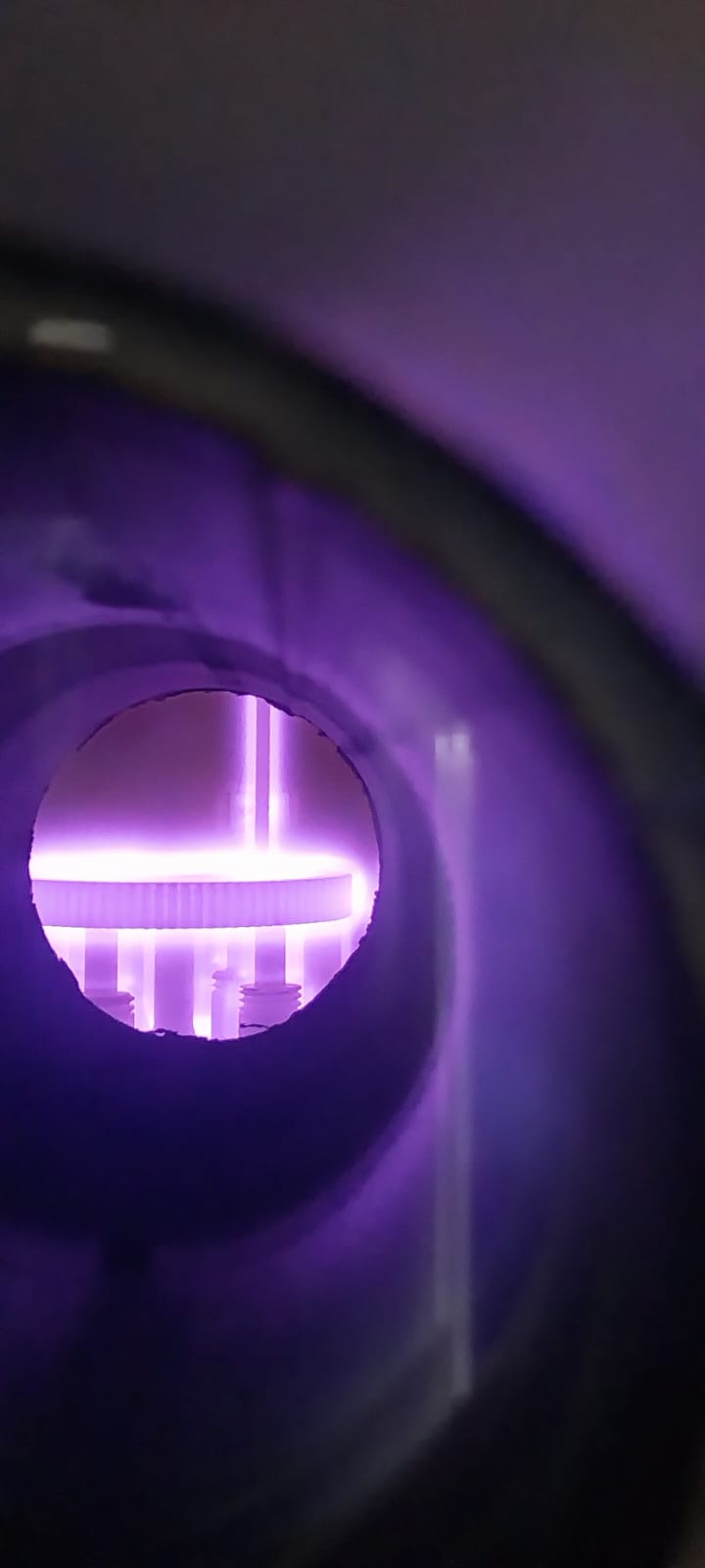 WhatsApp Image 2025-01-31 at 08.42.14.jpeg